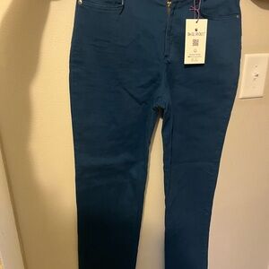 Gloria Vanderbilt Blue Skinny Jeans